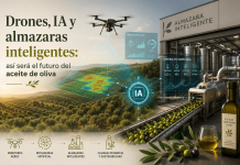 Drones, IA y almazaras inteligentes: así será el futuro del aceite de oliva futuro del aceite de oliva
