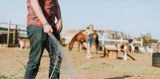 Las altas temperaturas merman las producciones de las explotaciones ganaderas explotaciones ganaderas