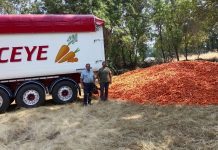 La solidaridad del campo se traduce en hechos: donan zanahorias para alimentar al ganado afectado por los incendios ASAJA Avila