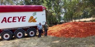 La solidaridad del campo se traduce en hechos: donan zanahorias para alimentar al ganado afectado por los incendios ASAJA Avila
