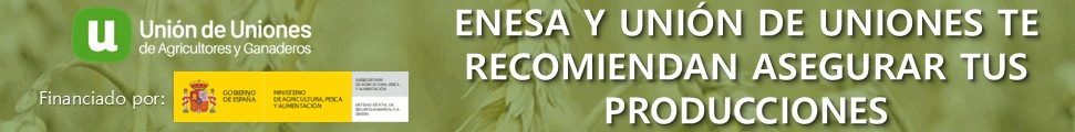 UNIÓN DE UNIONES 2026