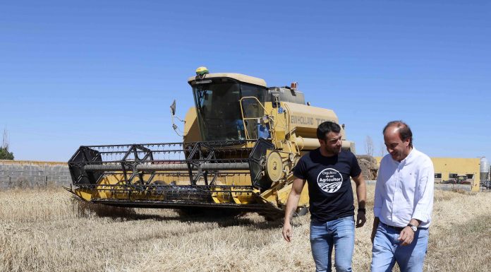 La cosecha de cereal de invierno en el granero de España se hunde cereal Castilla y León