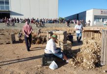El Ayuntamiento de Las Pedroñeras ultima la extensa programación de la LII Feria Internacional del Ajo Feria Internacional del Ajo