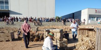 El Ayuntamiento de Las Pedroñeras ultima la extensa programación de la LII Feria Internacional del Ajo Feria Internacional del Ajo