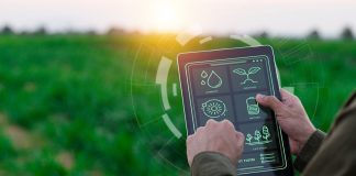 GroundX: saber qué pasa en tu parcela sin entregar los datos a nadie digitalizacion