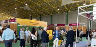 Galería de imágenes. LII Feria Internacional del Ajo de Las Pedroñeras Feria del Ajo