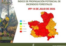 El sector cerealista de Castilla-La Mancha estalla por las restricciones de cosecha impuestas por el calor IPP 14 DE JULIO 2026