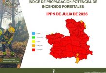Las restricciones por calor paralizan la siega de los cereales en Castilla-La Mancha IPP