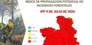 Las restricciones por calor paralizan la siega de los cereales en Castilla-La Mancha IPP