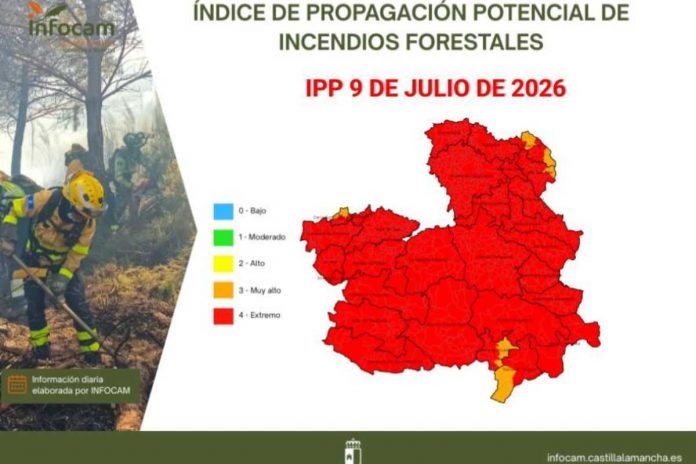 IPP 9 DE JULIO DE 2026 IPP