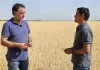 Opinión. Ruina. José Luis Marcos. Presidente de ASAJA Palencia José Luis Marcos