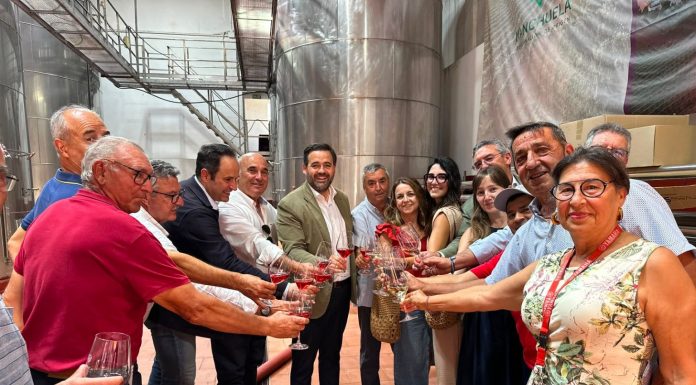 El presidente del PP Castilla-La Mancha anuncia un “ambicioso» programa de rentabilidad del vino Paco Núñez
