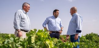 Núñez reclama ampliar la Directiva Marco del Agua para evitar el cierre del 70 por ciento de los pozos de La Mancha Paco Núñez en Tomelloso