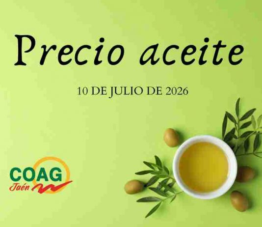 Precios medios en origen del aceite de oliva (10-julio-2026)