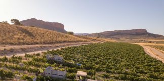 Una Denominación de Origen española tiene el inicio de vendimia más temprano de su historia vendimia Jumilla