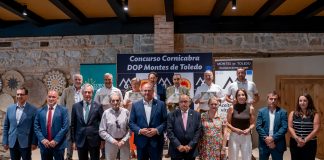 ¿Cuáles son los mejores aceites de oliva cornicabra de la DOP Montes de Toledo? Premios Cornicabra 2026