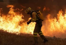 Unión de Uniones de Castilla-La Mancha denuncia el fracaso del modelo forestal de la región incendio