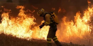 Unión de Uniones de Castilla-La Mancha denuncia el fracaso del modelo forestal de la región incendio