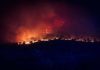 Los incendios dejan una factura invisible para el campo incendio Almorox UME