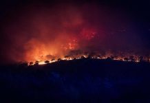 Los incendios dejan una factura invisible para el campo incendio Almorox UME