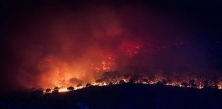 Los incendios dejan una factura invisible para el campo incendio Almorox UME