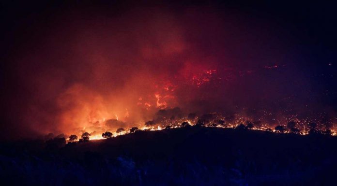 Los incendios dejan una factura invisible para el campo incendio Almorox UME