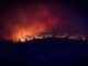 Los incendios dejan una factura invisible para el campo incendio Almorox UME