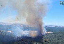 Piden que se permita a los ganaderos del incendio de Guadalajara atender a sus animales incendio de Guadalajara