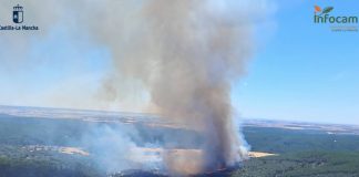 Piden que se permita a los ganaderos del incendio de Guadalajara atender a sus animales incendio de Guadalajara