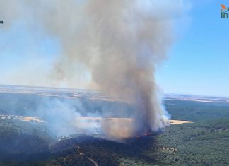 Los incendios forestales disparan la contaminación por partículas y ozono incendio de Guadalajara