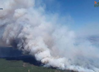 El sector defiende “a ultranza” al agricultor investigado por el incendio de La Mierla (Guadalajara) incendio La Mierla
