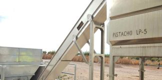 Trabajan en Castilla-La Mancha en el diseño de un secadero inteligente de pistacho planta de pistacho