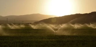Organizaciones agrarias piden a las confederaciones hidrográficas más dotaciones para riego para combatir las altas temperaturas regadíos