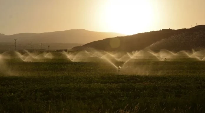 Organizaciones agrarias piden a las confederaciones hidrográficas más dotaciones para riego para combatir las altas temperaturas regadíos