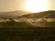 Organizaciones agrarias piden a las confederaciones hidrográficas más dotaciones para riego para combatir las altas temperaturas regadíos