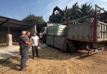 La Diputación de Guadalajara suministra treinta toneladas de pienso para ganado en pueblos afectados por el incendio reparto pienso Guadalajara