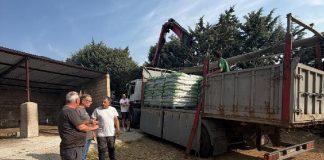 La Diputación de Guadalajara suministra treinta toneladas de pienso para ganado en pueblos afectados por el incendio reparto pienso Guadalajara