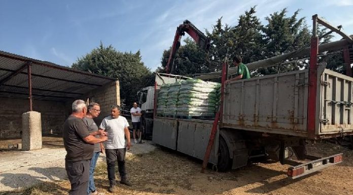 La Diputación de Guadalajara suministra treinta toneladas de pienso para ganado en pueblos afectados por el incendio reparto pienso Guadalajara