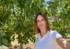 Elena San Juan (Agróptimum): “Mercado, calidad y características de la cosecha marcan el precio del pistacho” Elena San Juan, Agróptimum