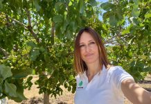 Elena San Juan (Agróptimum): “Mercado, calidad y características de la cosecha marcan el precio del pistacho” Elena San Juan, Agróptimum