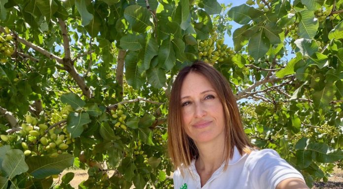 Elena San Juan (Agróptimum): “Mercado, calidad y características de la cosecha marcan el precio del pistacho” Elena San Juan, Agróptimum