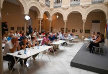 La Diputación de Ciudad Real destinará 500.000 euros para daños de conejos a los cultivos daños conejos Diputación CR