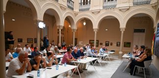 La Diputación de Ciudad Real destinará 500.000 euros para daños de conejos a los cultivos daños conejos Diputación CR