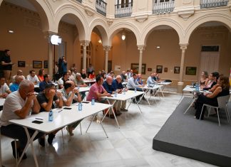 La Diputación de Ciudad Real destinará 500.000 euros para daños de conejos a los cultivos daños conejos Diputación CR