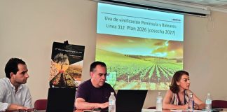 ASAJA Toledo informa sobre los seguros de viñedo y frutos secos ASAJA Toledo Seguros