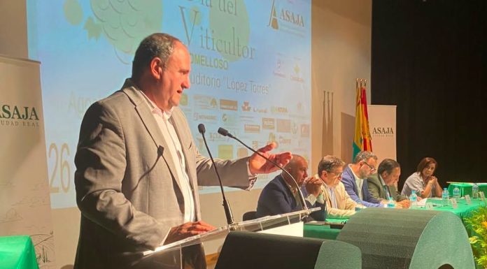 Castilla-La Mancha abonará pagos pendientes de la PAC a primeros de septiembre Julián Martínez Lizán