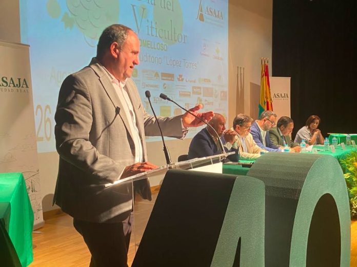 Julián Martínez Lizán