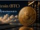 Cómo los poseedores de criptomonedas pueden usar SHRMiner para explorar más oportunidades de ingresos Captura de pantalla