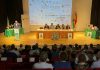 El Día del Viticultor de Tomelloso alcanza su cuadragésima edición Día del Viticultor