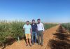 Un agricultor levanta más de cuarenta hectáreas financiándose con pequeños inversores Alboris Mancha